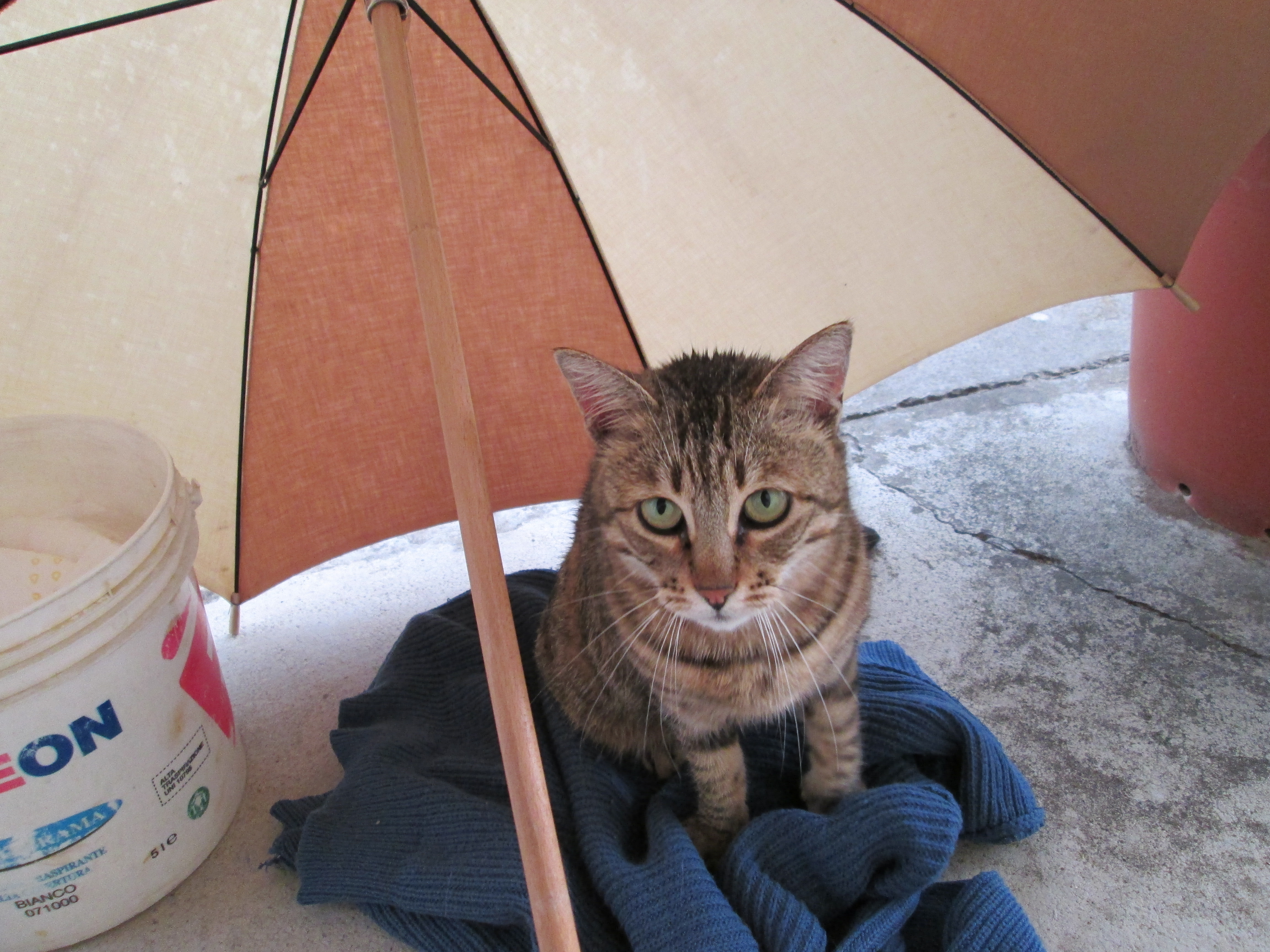 foto n 26.jpg